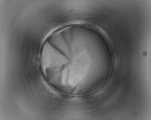 X0000112811178200909111252