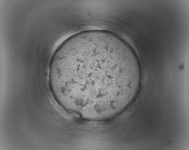 X0000112811179200909111252