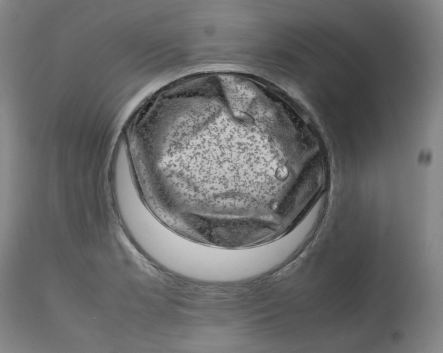 X0000112811181200909111252