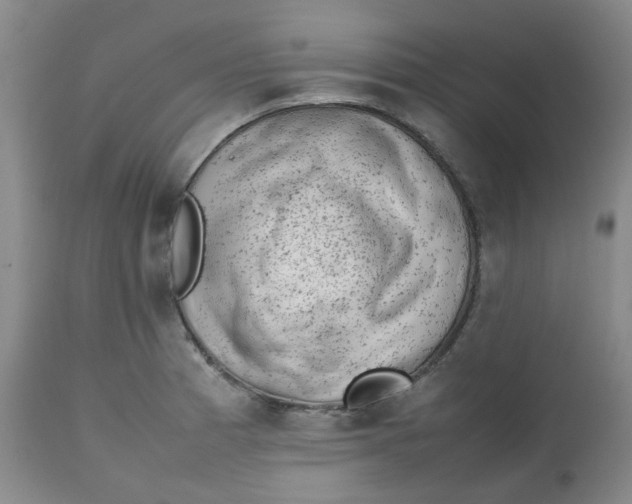 X0000112811185200909111252