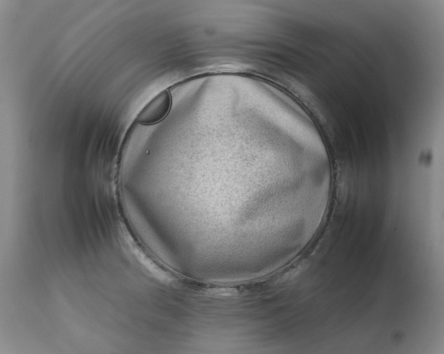 X0000112811186200909111252