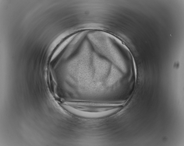 X0000112811188200909111252