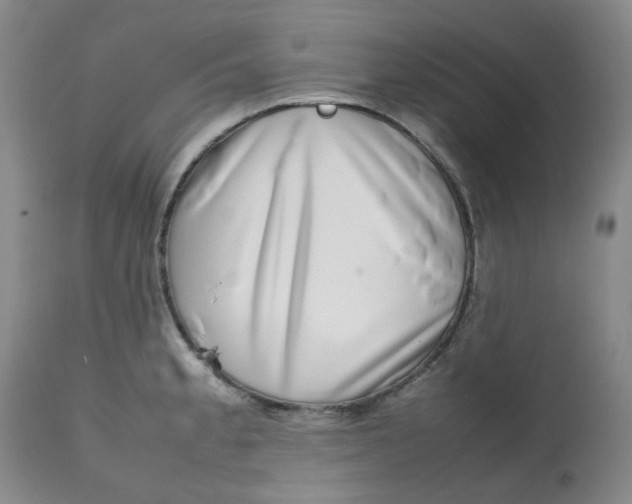 X0000112811189200909111252