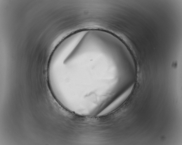 X0000112811191200909111252