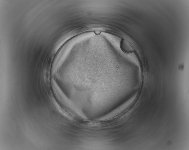 X0000112811194200909111252