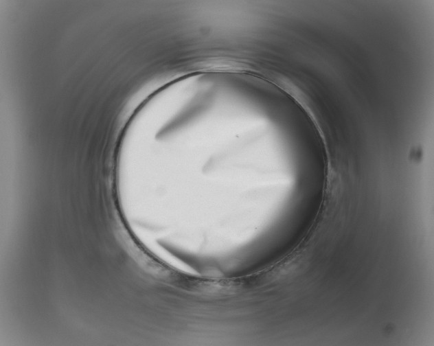 X0000112811195200909111252