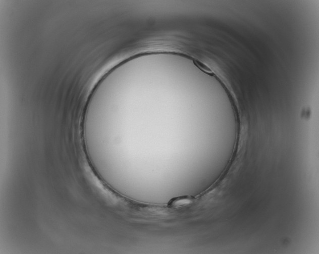 X0000112811197200909111252