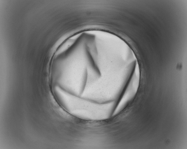 X0000112811199200909111252