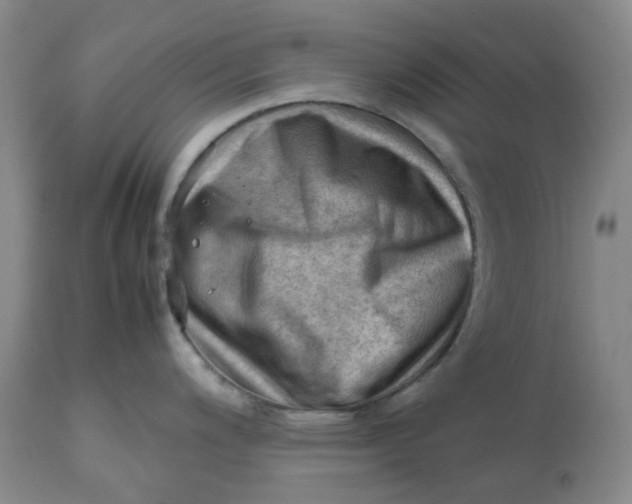 X0000112811200200909111252