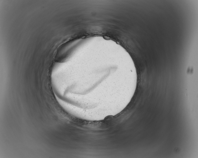 X0000112811201200909111251