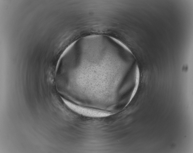 X0000112811202200909111251