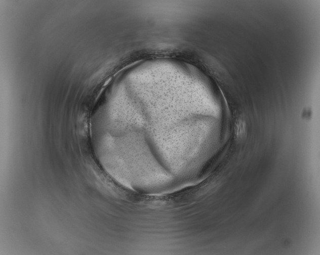 X0000112811204200909111251