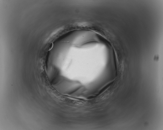 X0000112811205200909111251