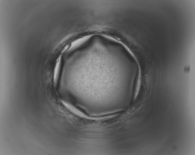 X0000112811206200909111251