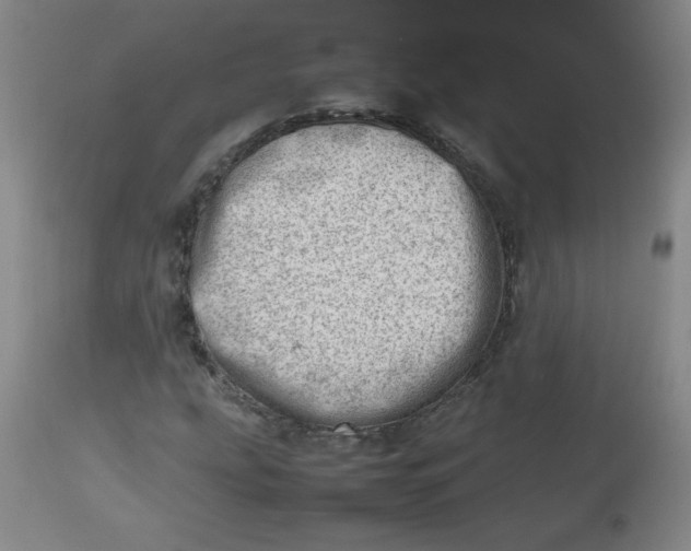 X0000112811207200909111251