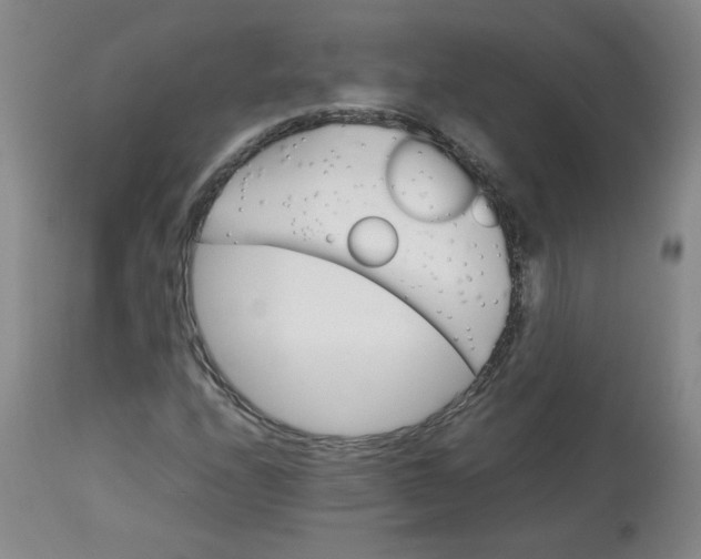 X0000112811208200909111251