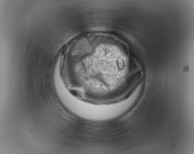 X0000112811209200909111251