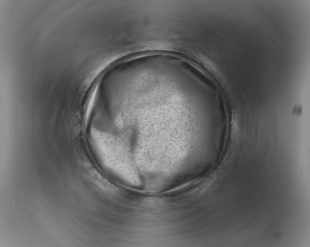 X0000112811212200909111251