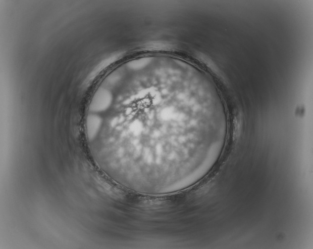 X0000112811213200909111251