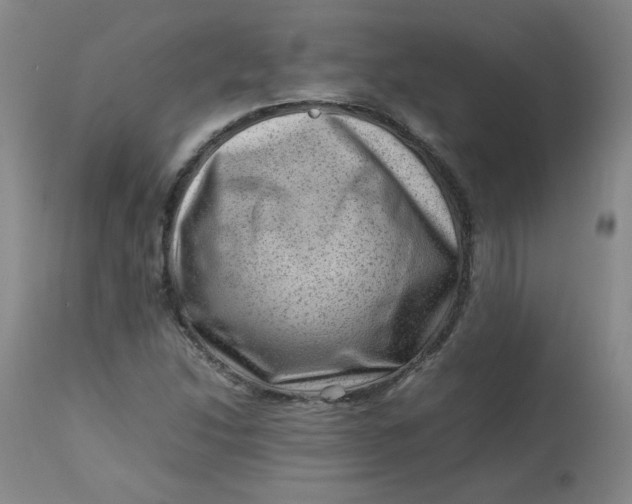 X0000112811214200909111251