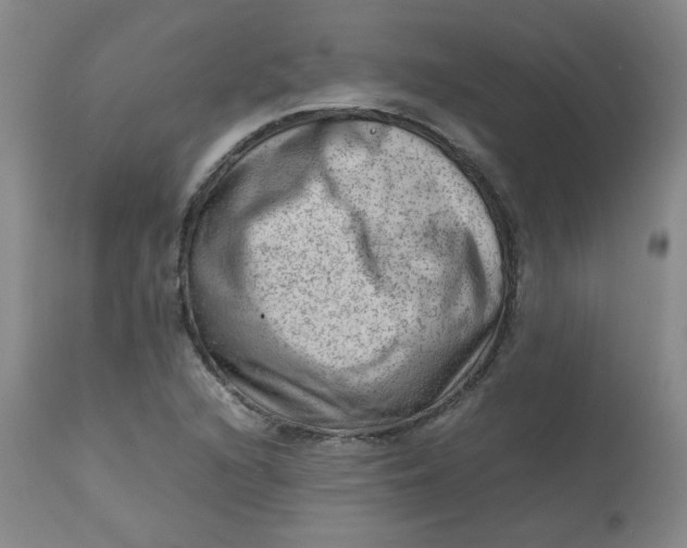 X0000112811216200909111251