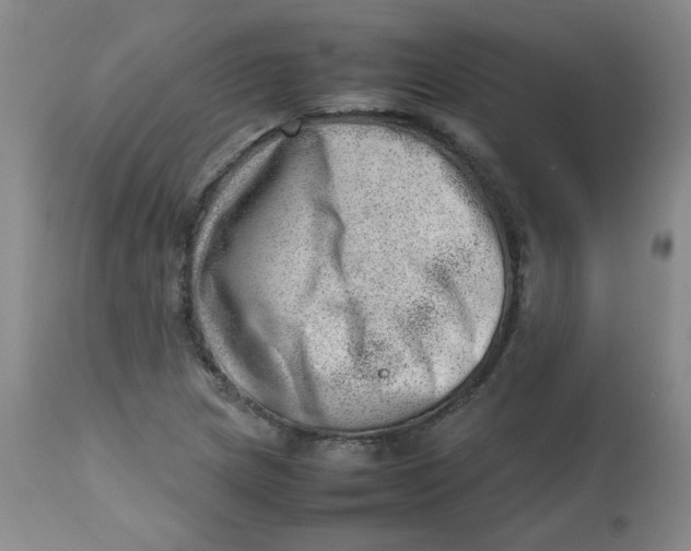 X0000112811217200909111251