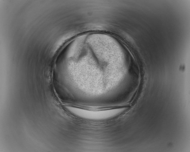 X0000112811218200909111251