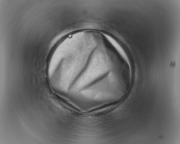 X0000112811222200909111251