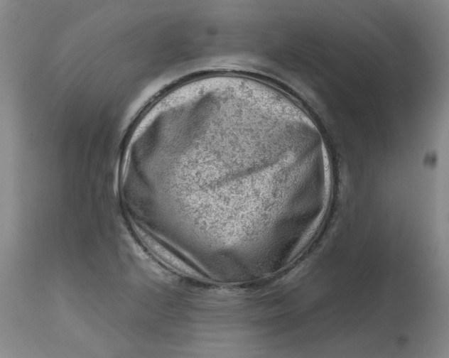 X0000112811224200909111251