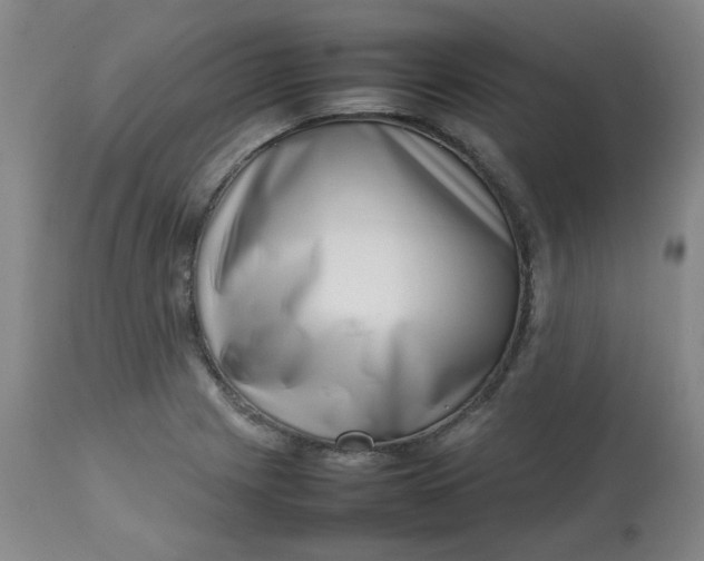 X0000112811225200909111251