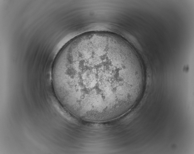 X0000112811226200909111251