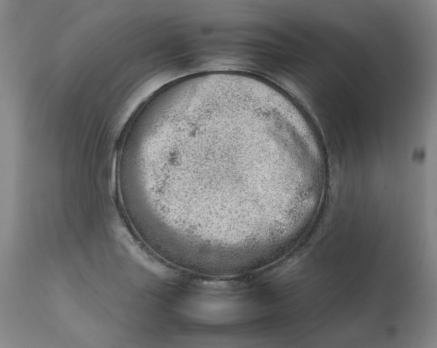 X0000112811227200909111251