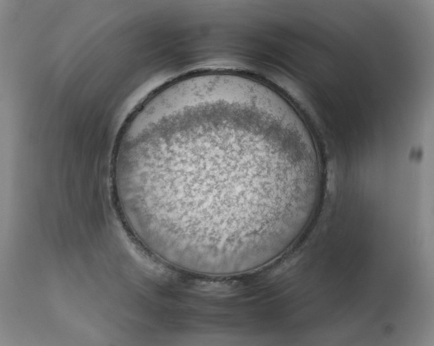 X0000112811229200909111251