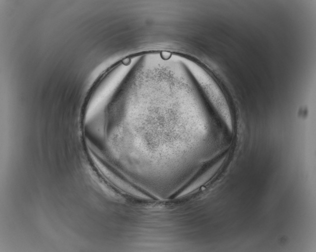 X0000112811230200909111251