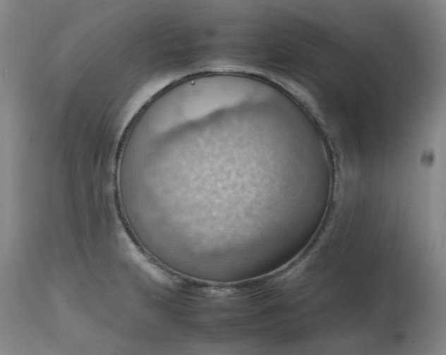 X0000112811231200909111251