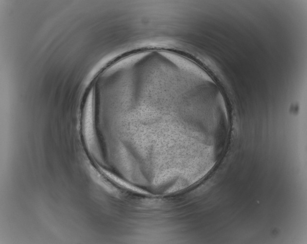 X0000112811232200909111252