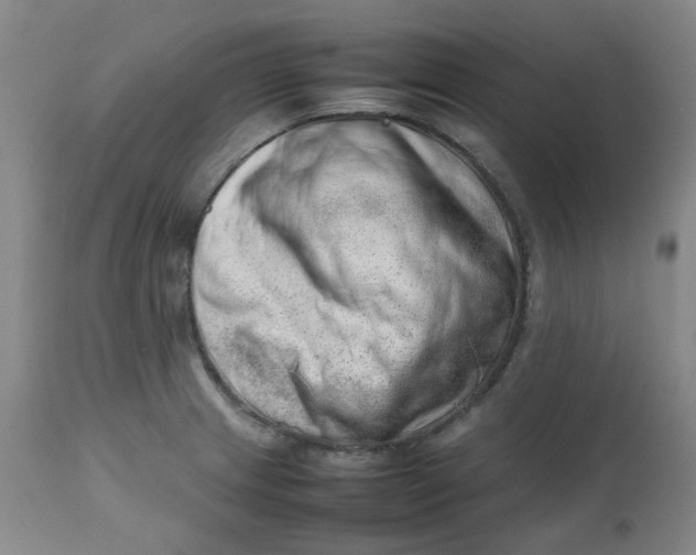 X0000112811233200909111252