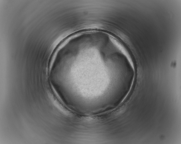 X0000112811234200909111252