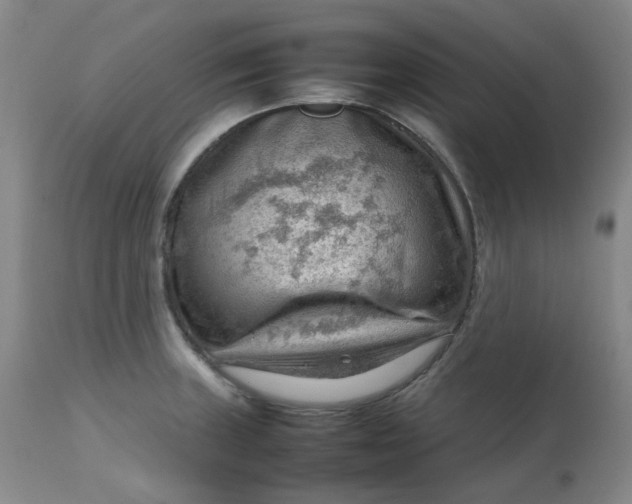 X0000112811235200909111252