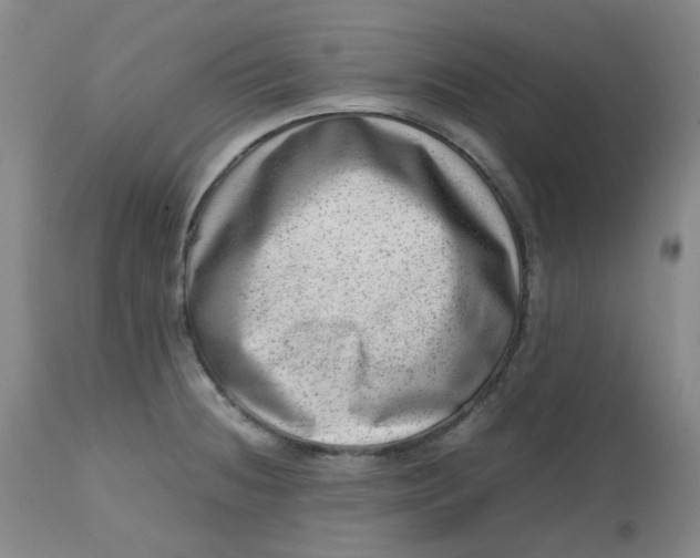 X0000112811236200909111252