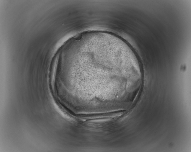 X0000112811237200909111252