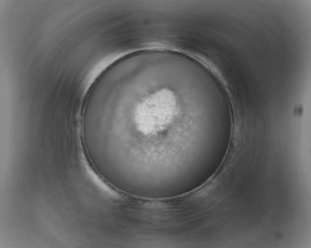 X0000112811239200909111252