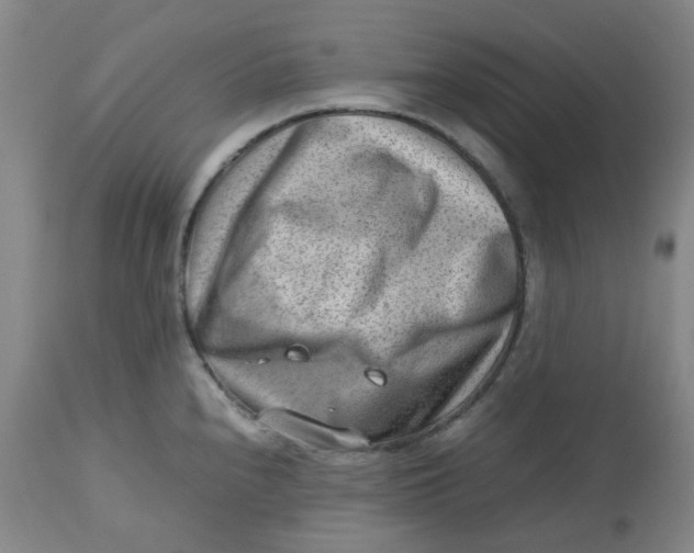 X0000112811240200909111252