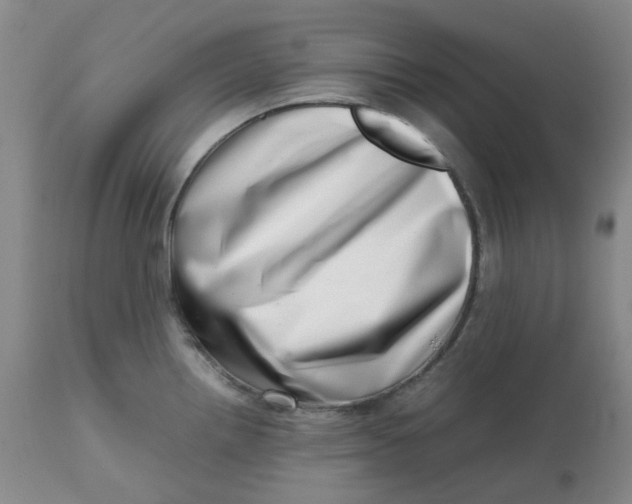 X0000112811242200909111252