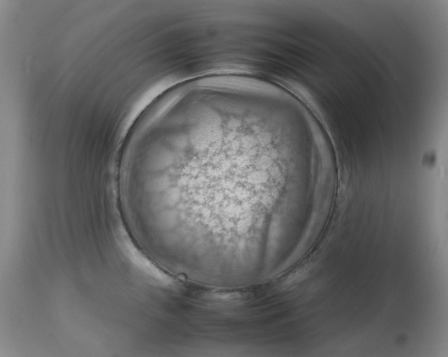 X0000112811243200909111252