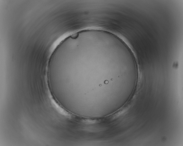 X0000112811245200909111252