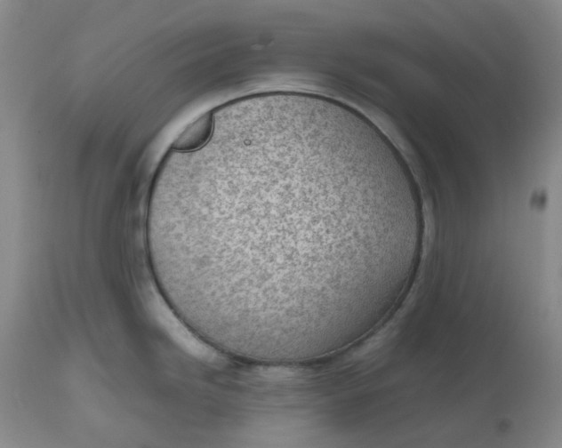 X0000112811246200909111252