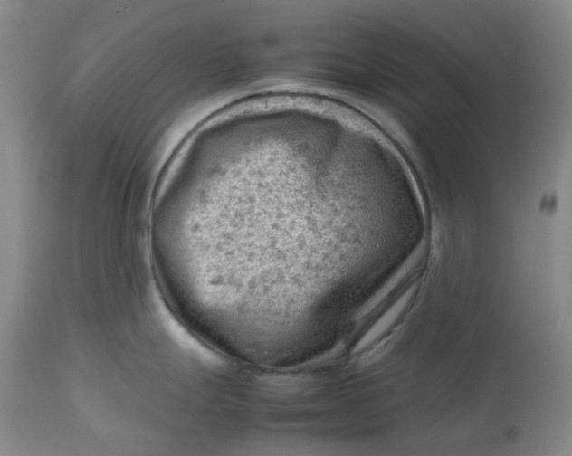 X0000112811247200909111252