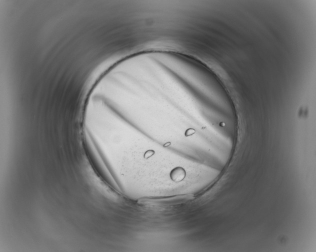 X0000112811248200909111252