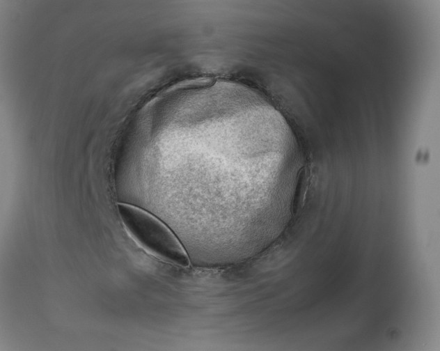 X0000112811249200909111251